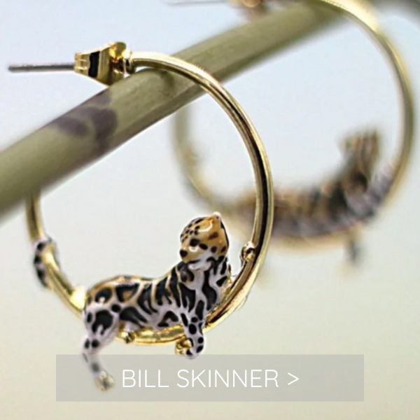 Bill Skinner