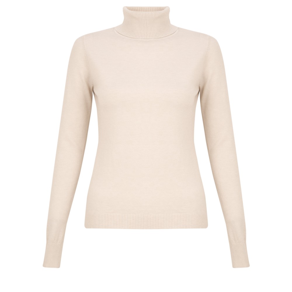 Amazing Woman Britt Fineknit Fitted Polo Neck Jumper in Off White