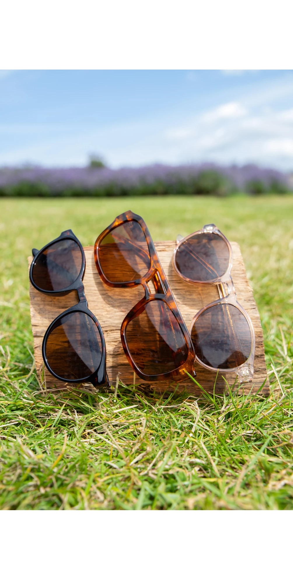 Marvin Sunglasses main image