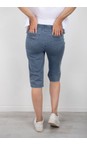 Robell Light Denim Bella 05 Light Denim Power Denim Shorts  