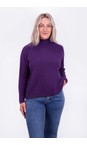Amazing Woman Purple Jolie Purple Boxy High Neck Knit  