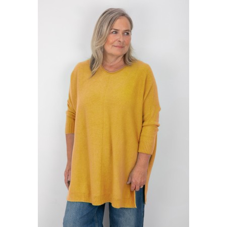 Amazing Woman Cassi X Antique Gold Round Neck Front Seam Knit - Gold
