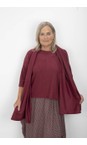 Thing Wine Wiley Wine Long Soft Knit Scarf  