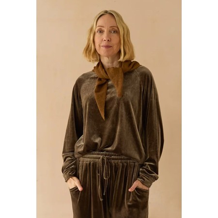 Chalk Erin Relaxed Velour Top - Brown