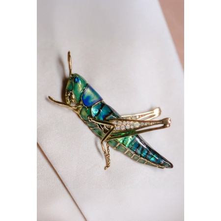 Bill Skinner Grasshopper Brooch - Gold
