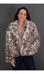 Brave & True Grey Leopard Bertoli Faux Fur Jacket  