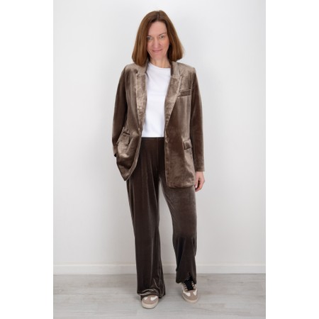 Chalk Margo Truffle Velvet Blazer - Brown