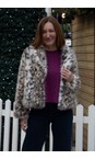 Brave & True Grey Leopard Bertoli Faux Fur Jacket  