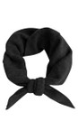 Gemini Label Accessories Black  Triangle Neck Black Plain Wool Scarf  