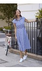 Brave & True Navy Gingham Musings Navy Gingham Dress  
