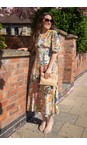 Foil Blossom Race Favourite Blossom Print Dress  