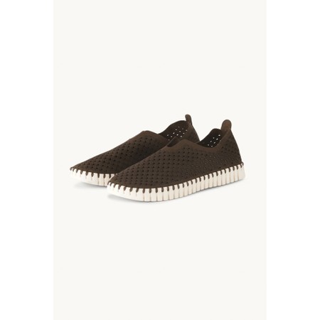 Ilse Jacobsen Tulip Laser Cut Pattern Brown Pearled Ivory Shoe - Brown